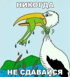 jrepbr