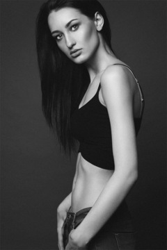 Vlada